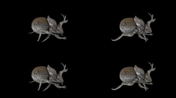 甲虫走路奔跑动画(6)