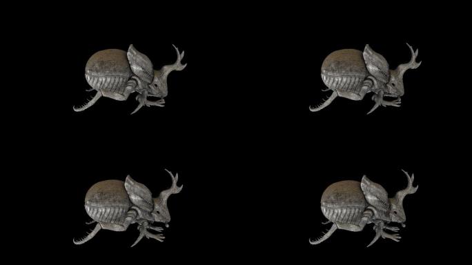 甲虫吃东西动作动画(2)