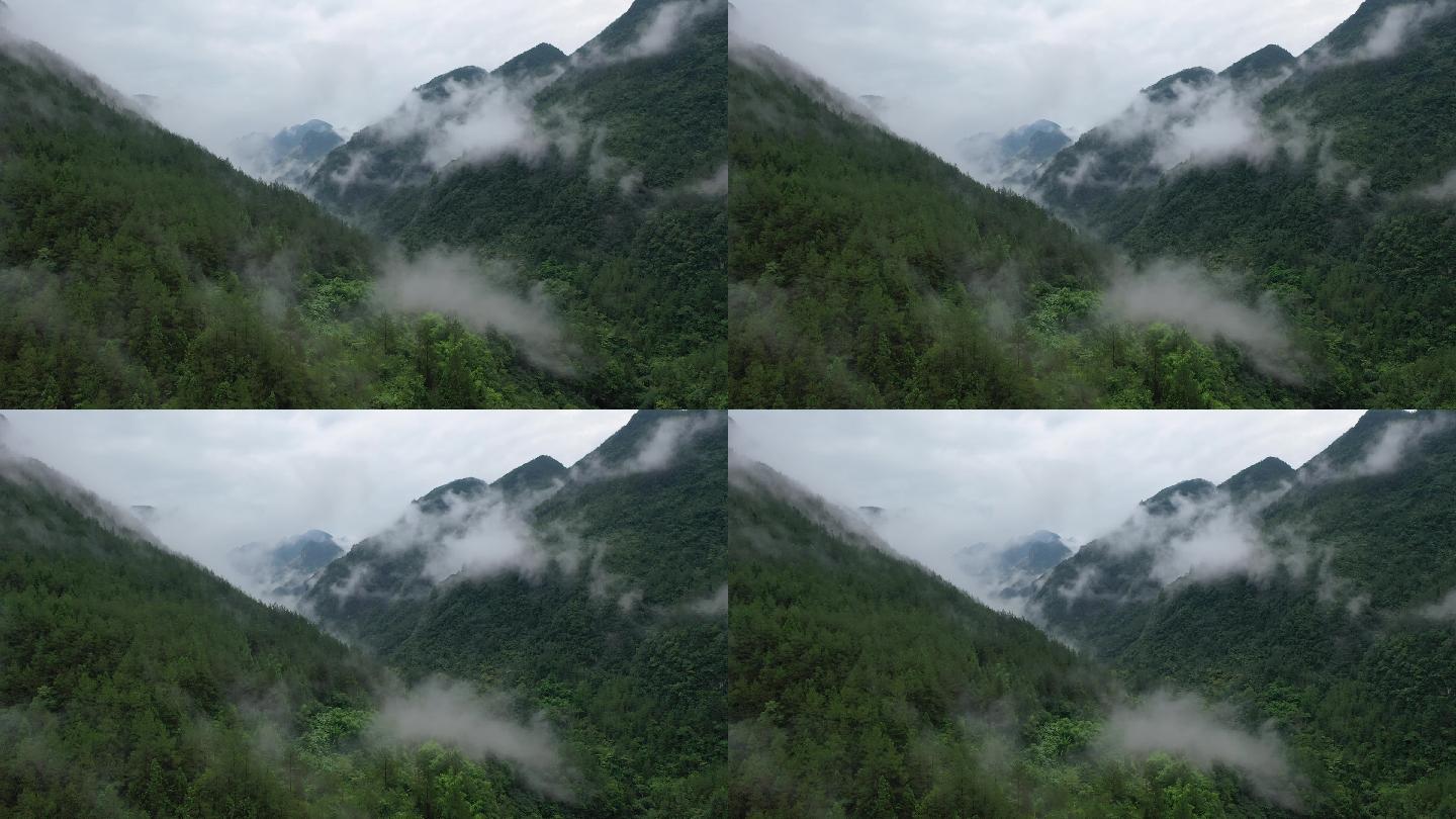 四川达州宣汉县巴山大峡谷雨天云雾航拍