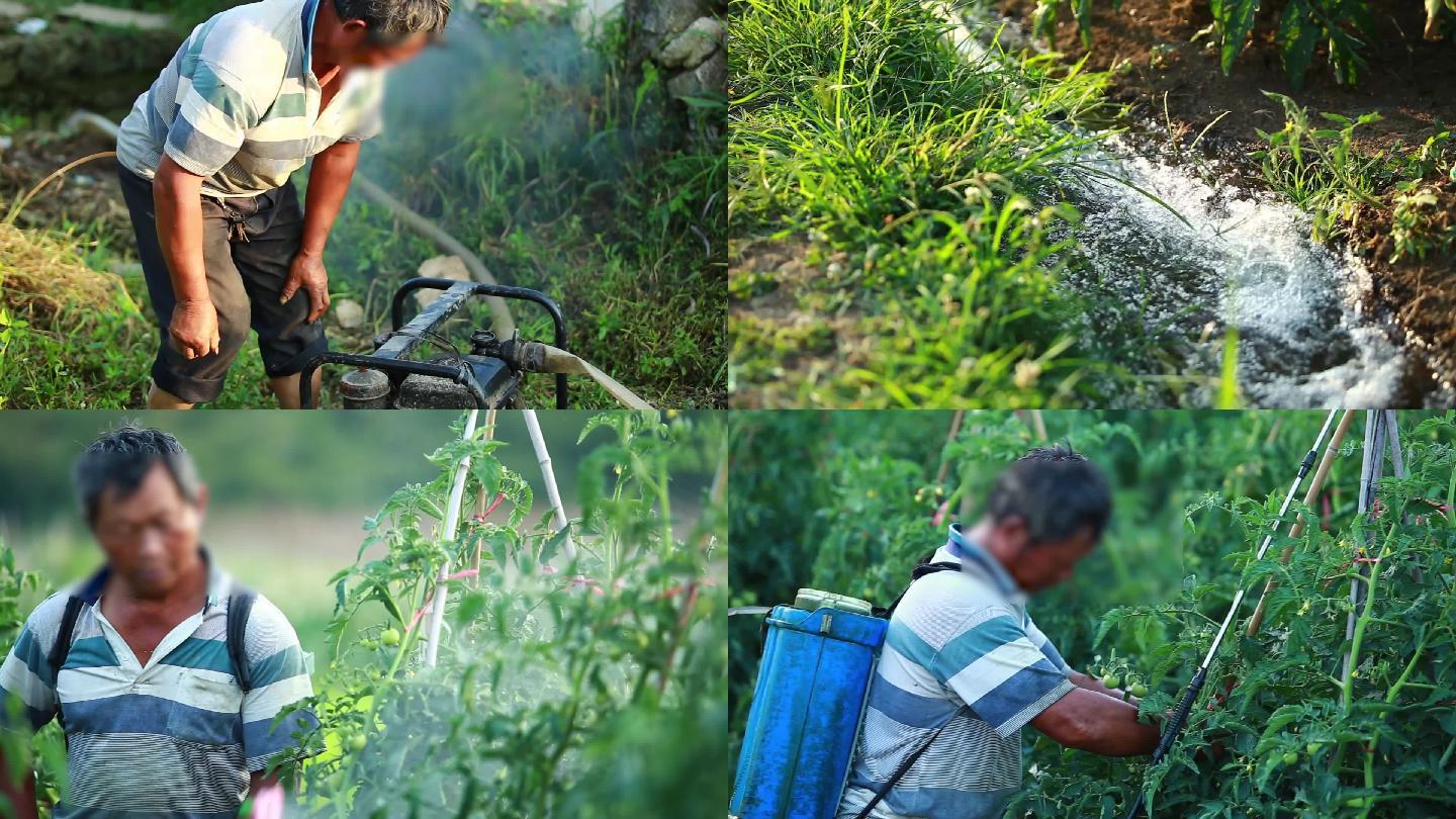 农民种植耕种抽水浇灌打农药施肥剪枝农业