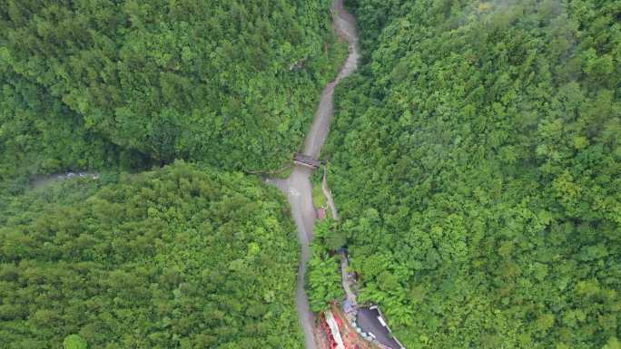 四川达州宣汉县巴山大峡谷三岔路森林航拍