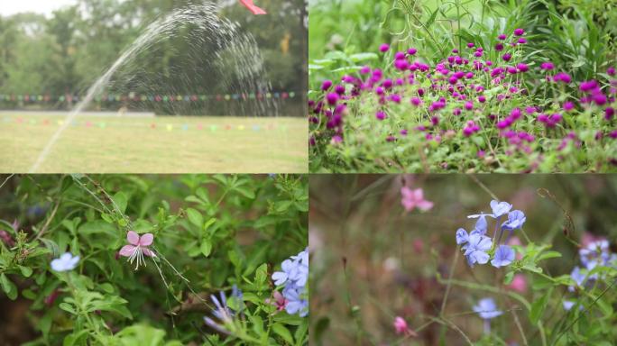 草坪浇水花草空镜