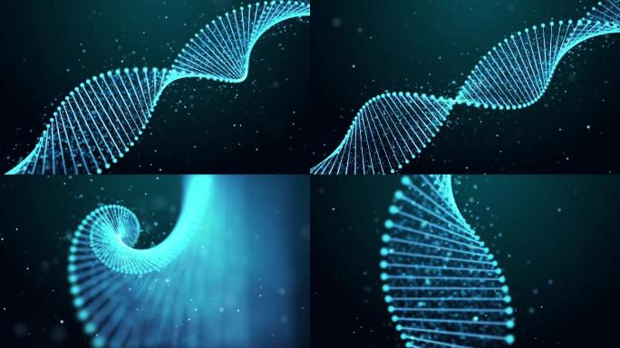 【原创】科技DNA