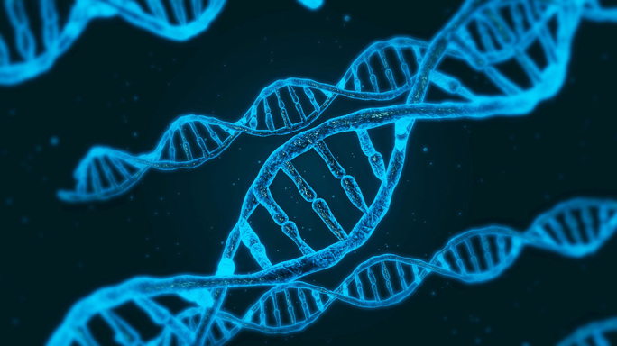 DNA旋转连接
