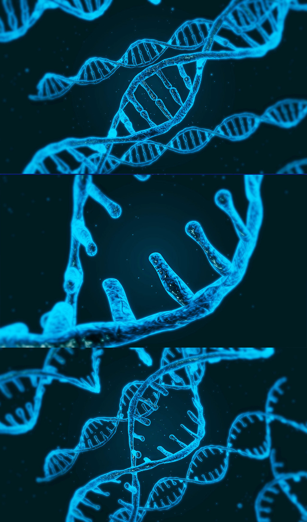DNA旋转连接
