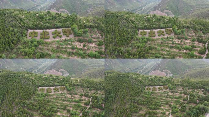 中北大学二龙山风景航拍-夏季树丛标志