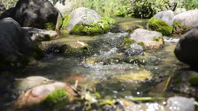 山泉清泉水泡气泡健康水源地山