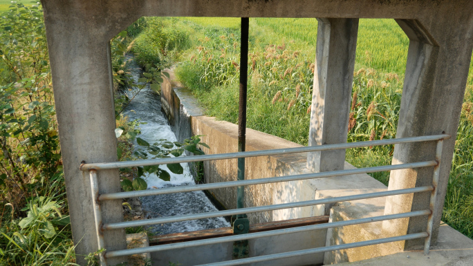 灌溉 水渠沟渠 农田水利 农业灌溉