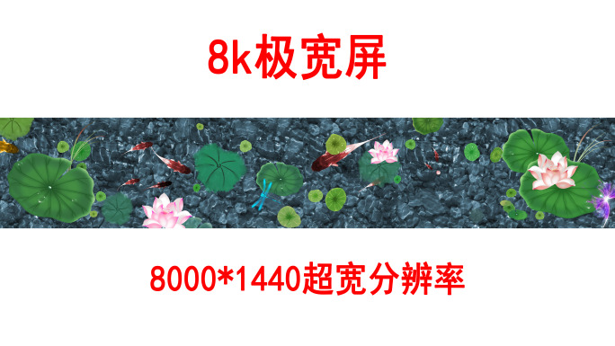 地面投影荷花鲤鱼8k（03）-无缝循环