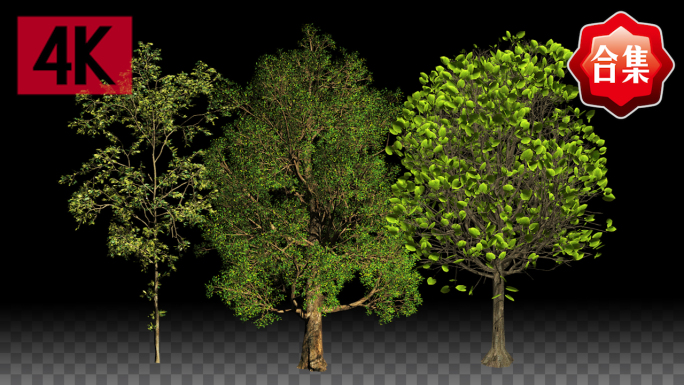 3款树木植物生长-3号带通道