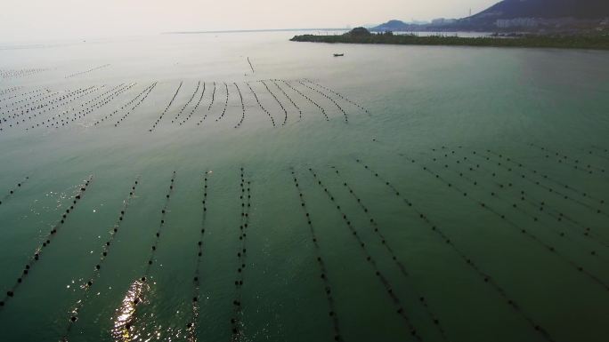 4K海水养殖航拍