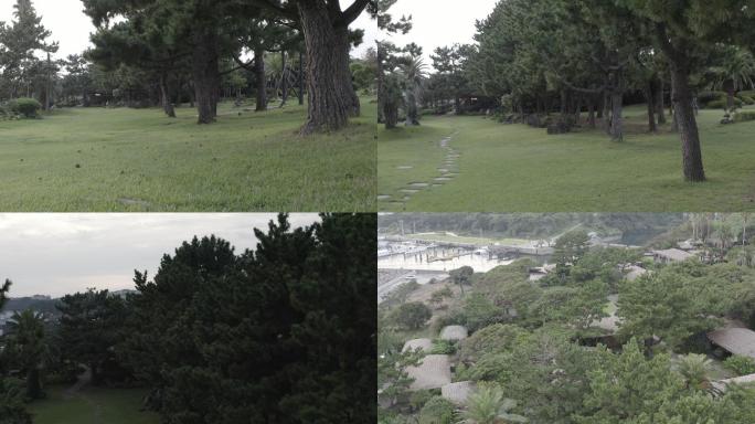 4K-log-海岸边古式的韩国民居草屋