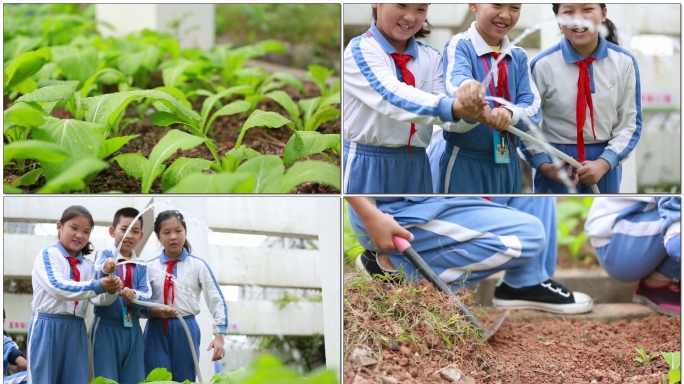 校园丰富生活生态学生浇花种菜