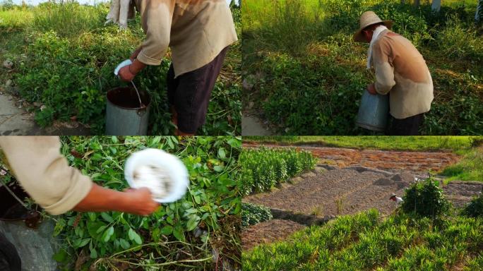 农民劳作劳动浇水_农村田园风景风光