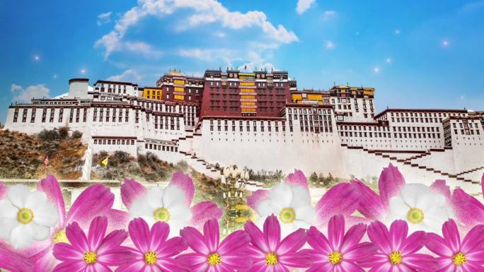 西藏布达拉宫格桑花大屏幕背景视频