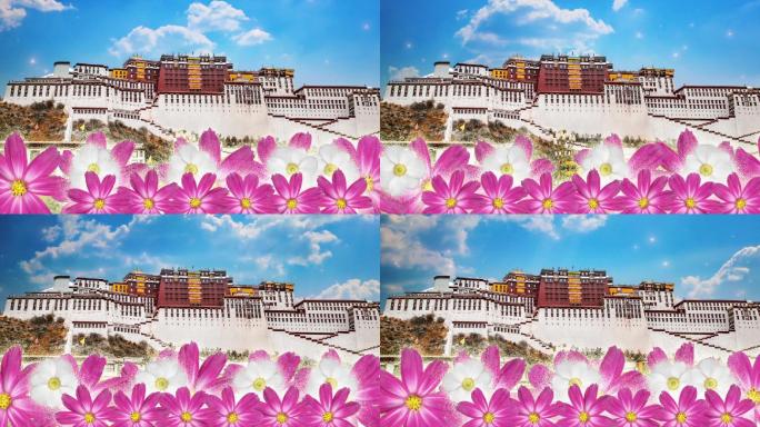 西藏布达拉宫格桑花大屏幕背景视频