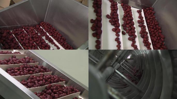 大枣分级分拣车间