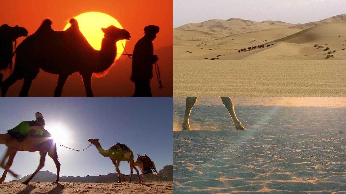 驼队穿越沙漠