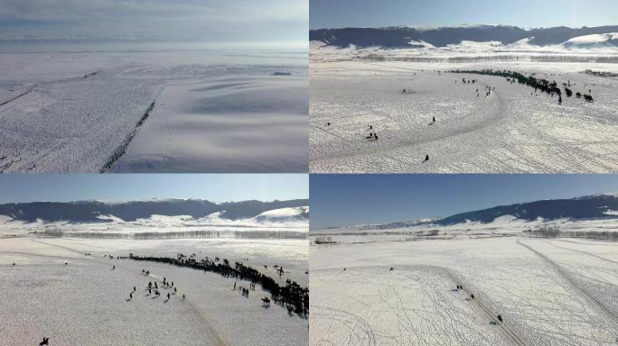 雪地赛马