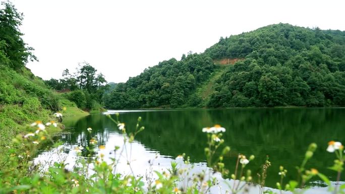 【原创】绿水青山就是金山银山之高山水库六