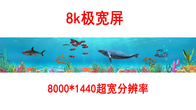 海底世界8k各种鱼群（01）