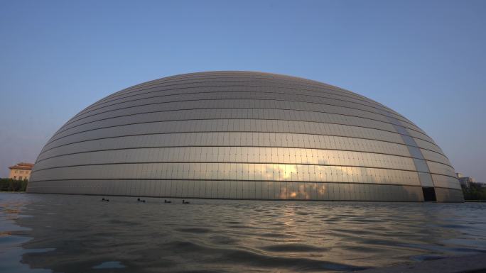 北京大剧院的鸭子