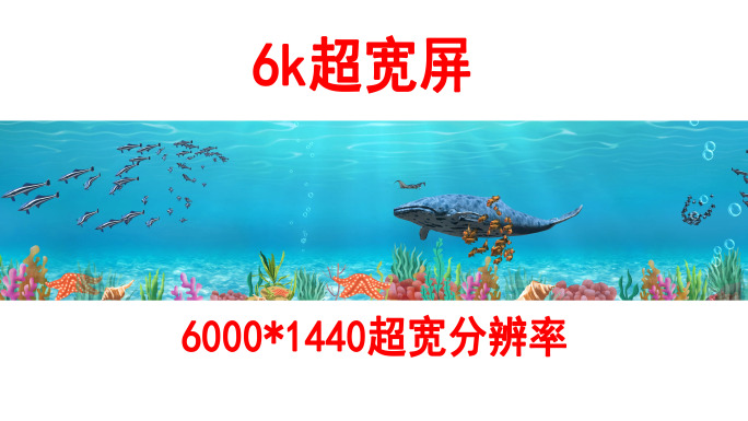 海底世界6k各种鱼群（01）