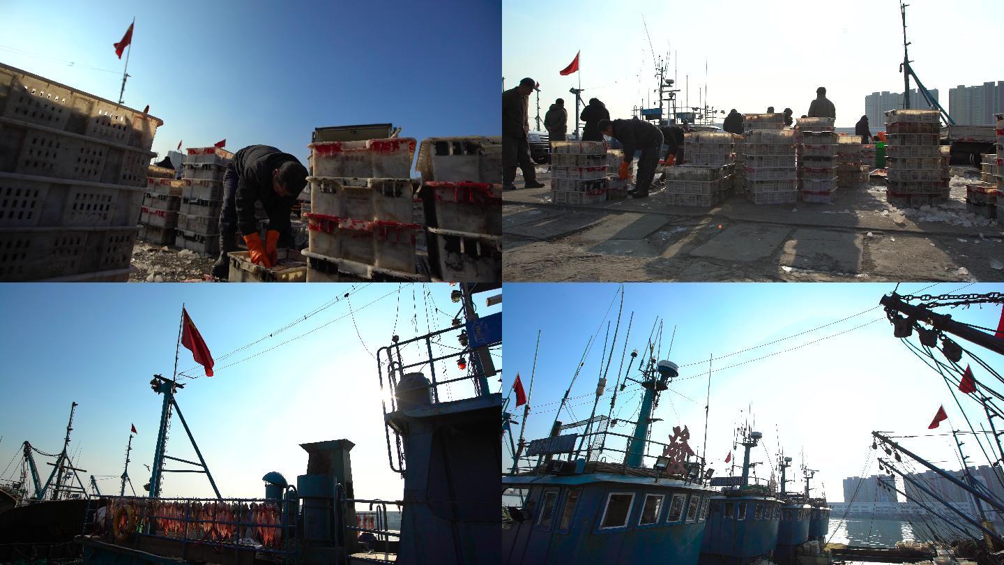 [有版权]渔船渔港港口卸货