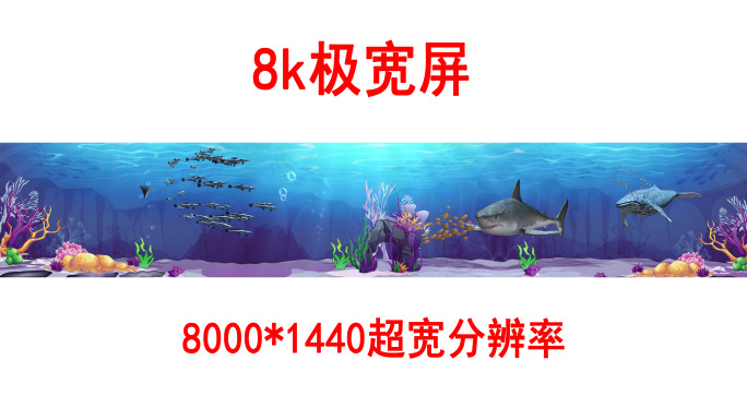 海底世界8k各种鱼群（02）