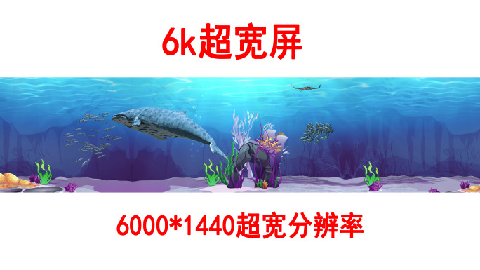 海底世界6k各种鱼群（02）