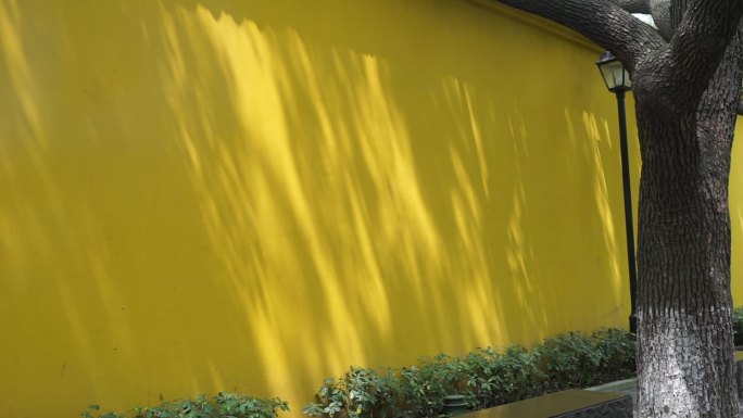黄色的墙上的光影