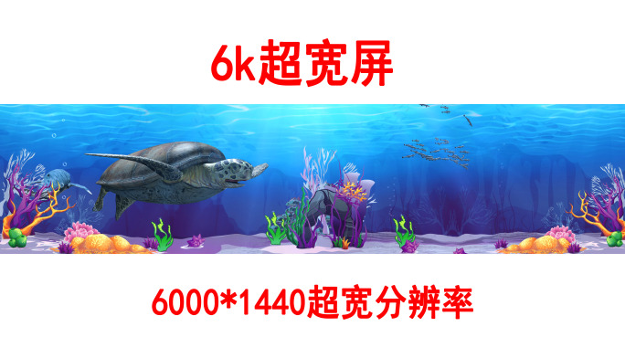 海底世界6k各种鱼群（03）