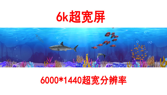 海底世界6k各种鱼群（04）