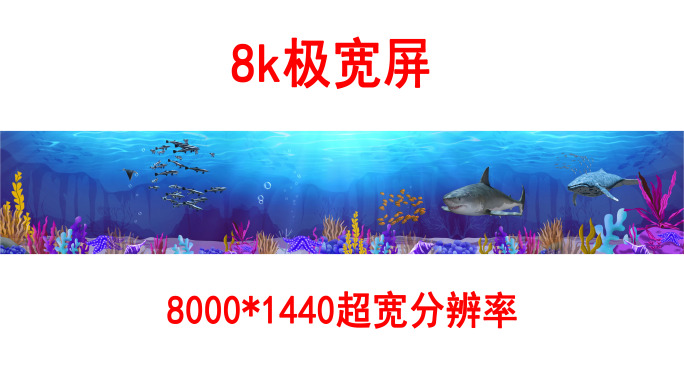 海底世界8k各种鱼群（03）