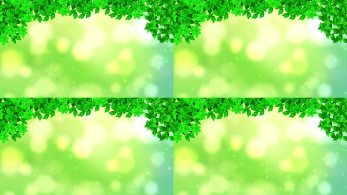唯美绿色树叶框背景循环