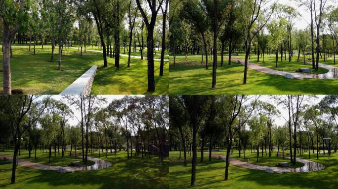 【原创】4k公园绿树阳光森林草坪