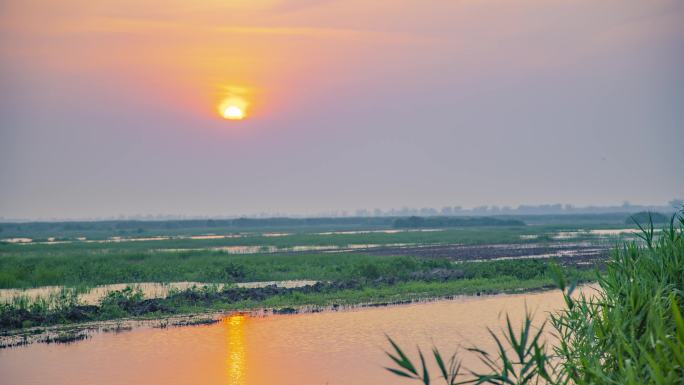 【原创】4K·湿地日落延时