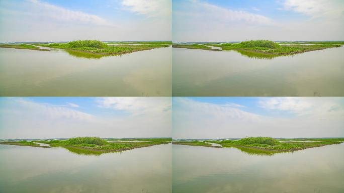 【原创】4K·湿地保护