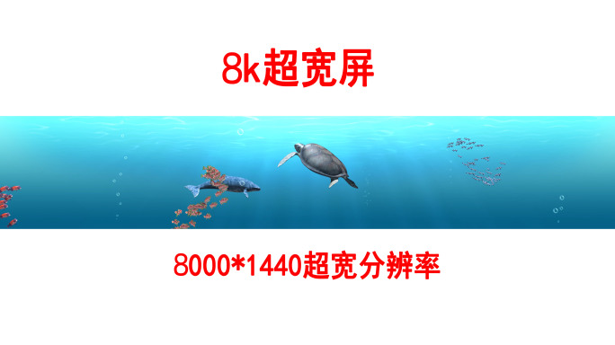 海底世界8k各种鱼群（03）