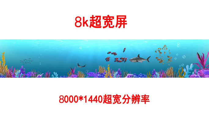 海底世界8k各种鱼群（05）