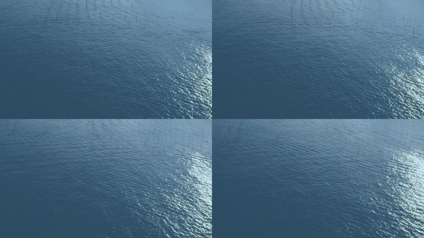 海面湖面 19x1080 高清视频素材下载 编号 341 实拍视频 Vj师网www Vjshi Com
