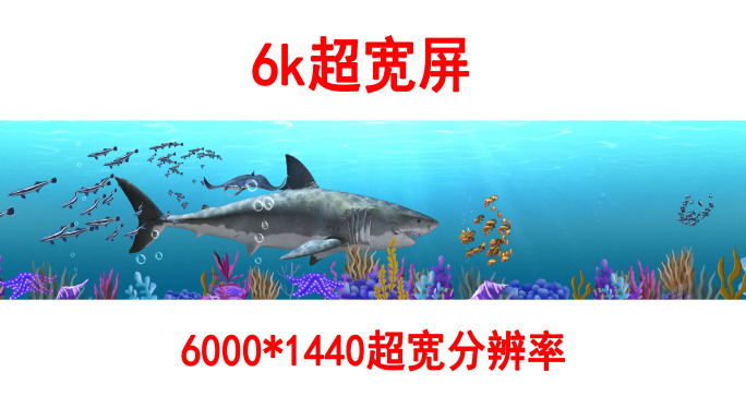 海底世界6k各种鱼群（06）