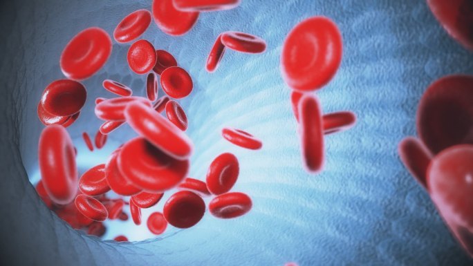 血液血细胞