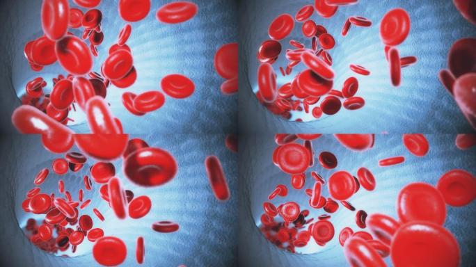 血液血细胞