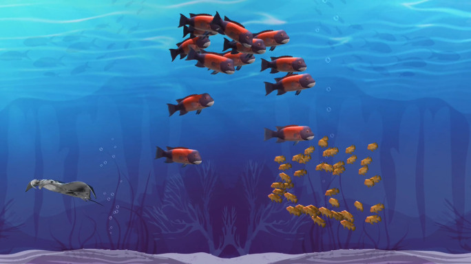 海底世界6k各种鱼群（02）