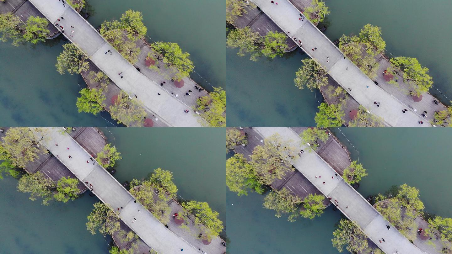 4K原素材-航拍上海大宁灵石绿地公园