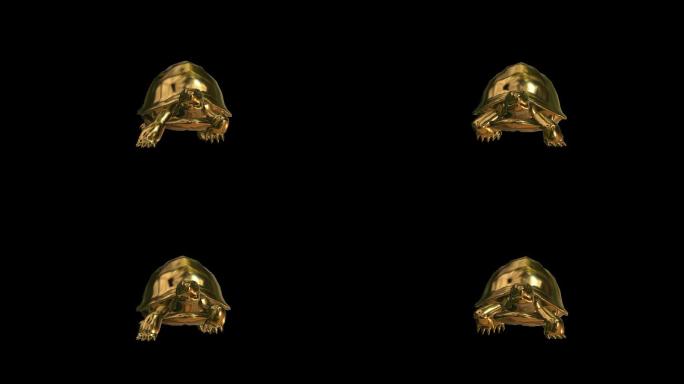 4k黄金乌龟
