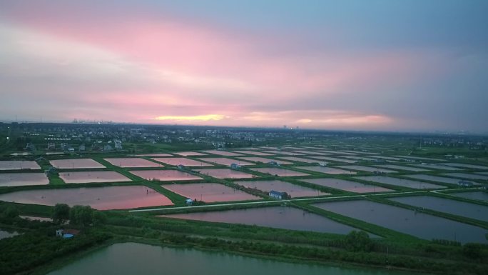 视频原素材-航拍上海崇明区自然景观
