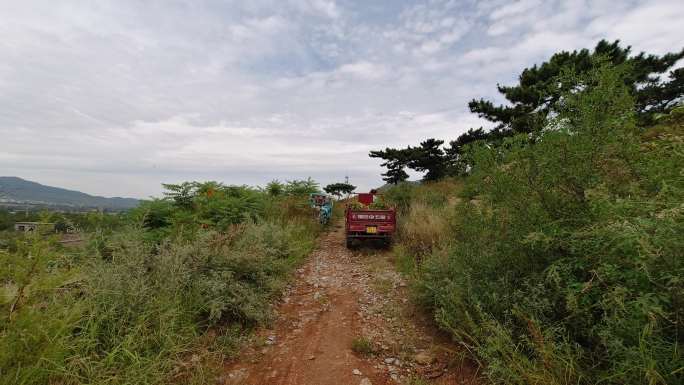 4K-原素材-泰山山路崎岖