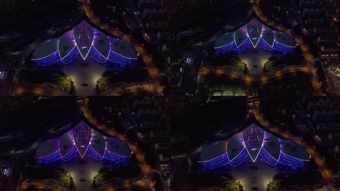 4K-log原素材-泰安市图书馆夜景航拍